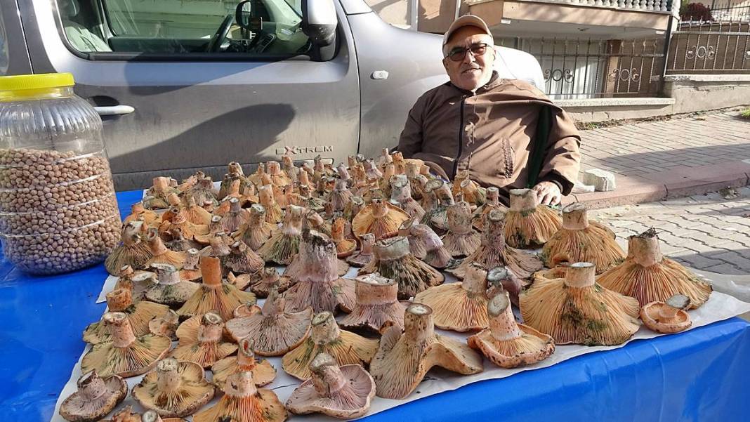 Dağlardan bereket fışkırdı, köylünün yüzü güldü! Kilosu 100 TL'ye kadar düştü 10